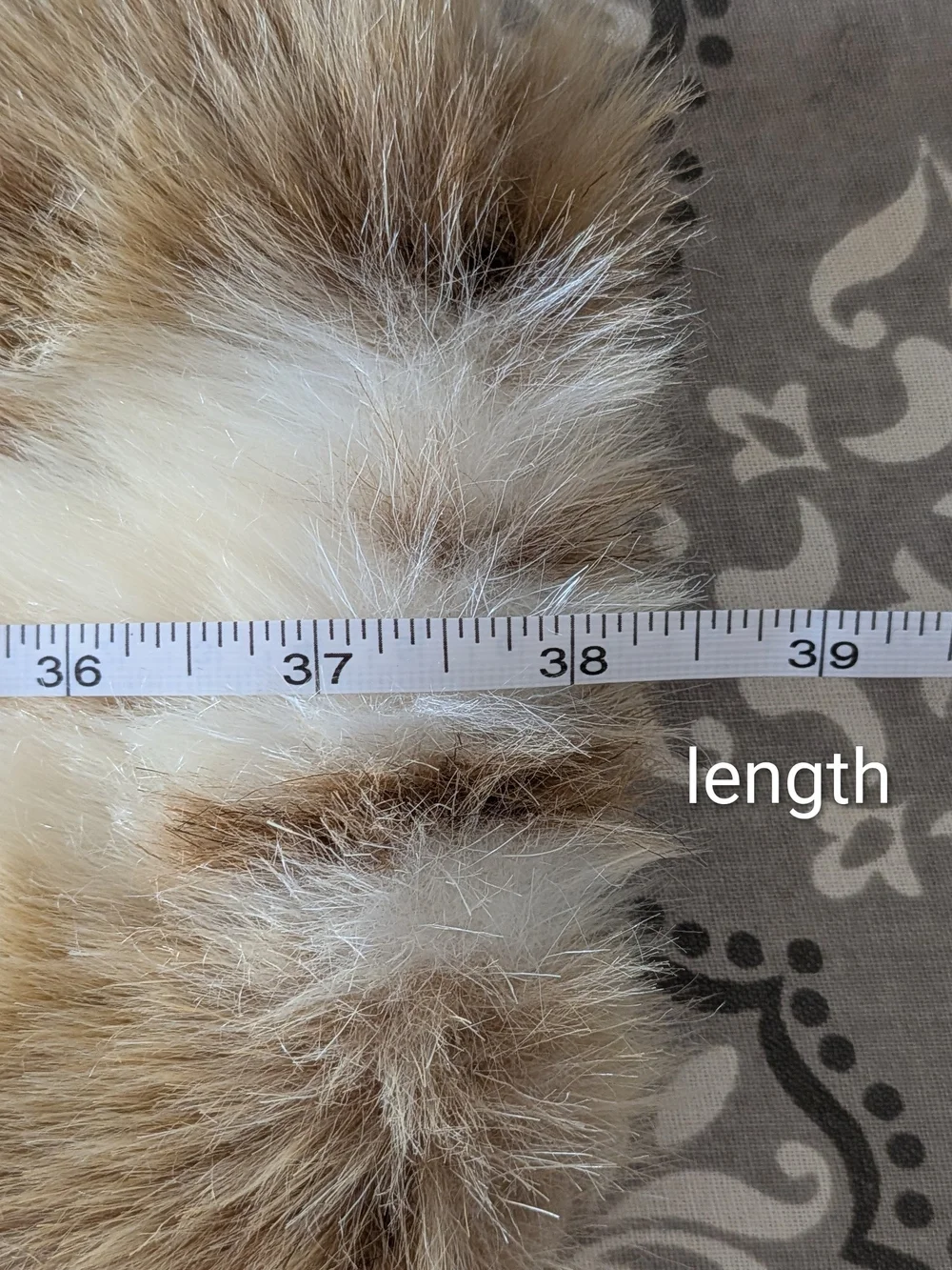 Dillard's Preston & York Faux Fur Scarf in Cream and Brown